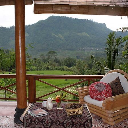 Bebek Biru Hotel Sidemen  Exterior photo
