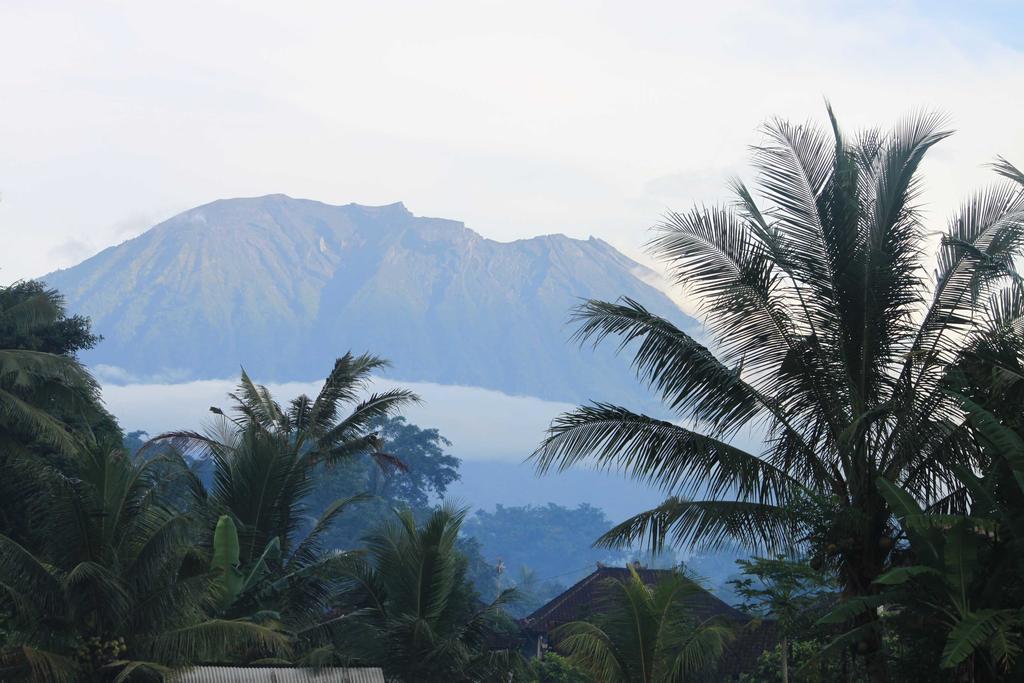 Bebek Biru Hotel Sidemen  Exterior photo